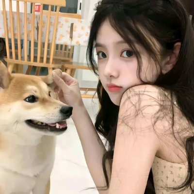 金牌贱猫:重新出击封面